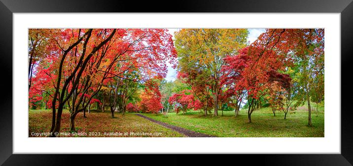A Path through Autumn Framed Mounted Print by Mike Shields
