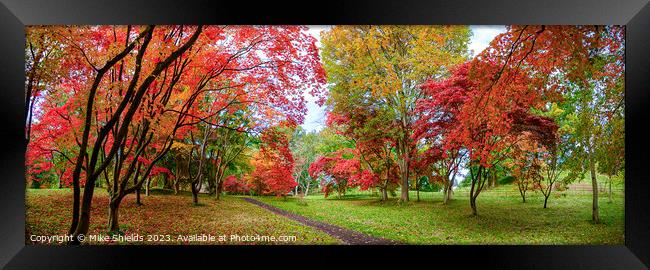A Path through Autumn Framed Print by Mike Shields