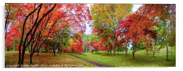 A Path through Autumn Acrylic by Mike Shields