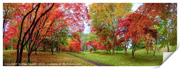 A Path through Autumn Print by Mike Shields