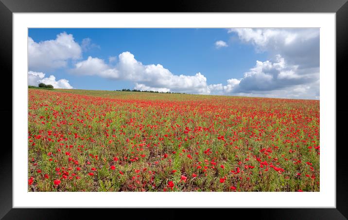 Summertime Poppy Field  Framed Mounted Print by Apollo Aerial Photography
