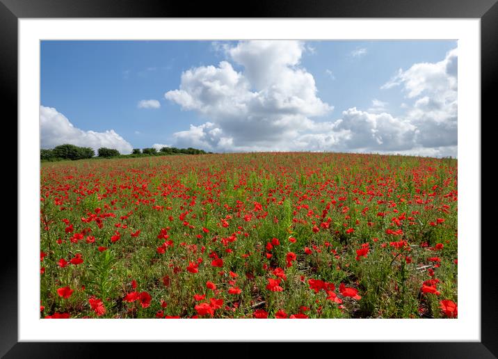 Flanders Fields Framed Mounted Print by Apollo Aerial Photography