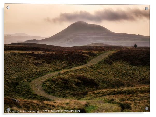 Winding path to East Lomond Hill Acrylic by Fraser Hetherington