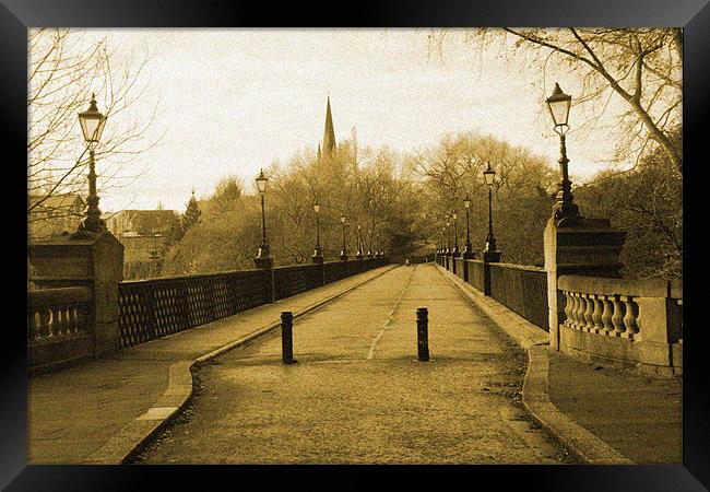 Jesmond Dene Bridge Framed Print by John Ellis
