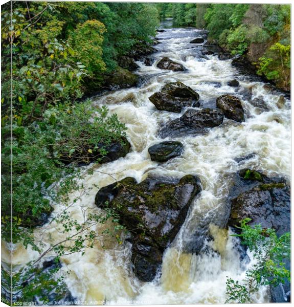 River in full flood after a lot of rain, North Rain  Canvas Print by Gail Johnson