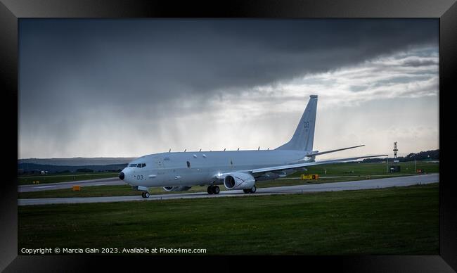 Poseidon heading for take off Framed Print by Marcia Gain