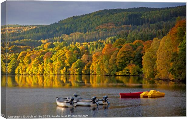 Autumn foliage in Perthshire, Scotland, UK Canvas Print by Arch White