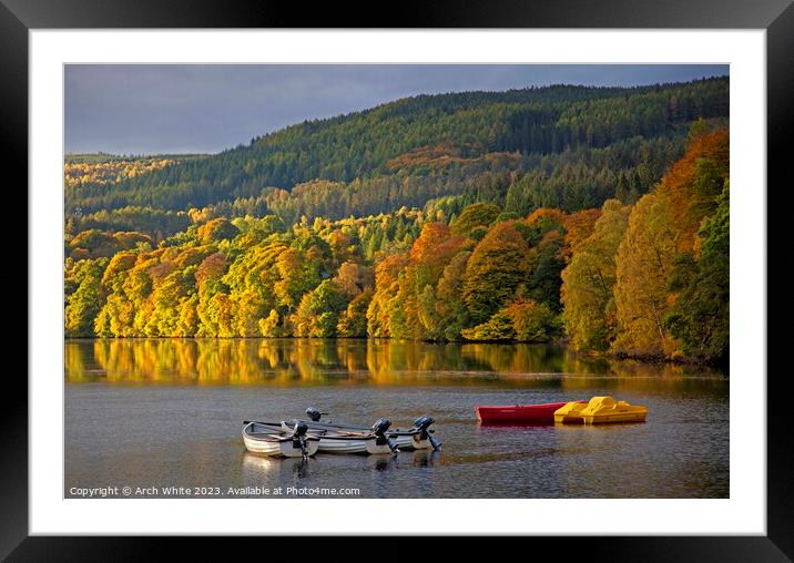 Autumn foliage in Perthshire, Scotland, UK Framed Mounted Print by Arch White