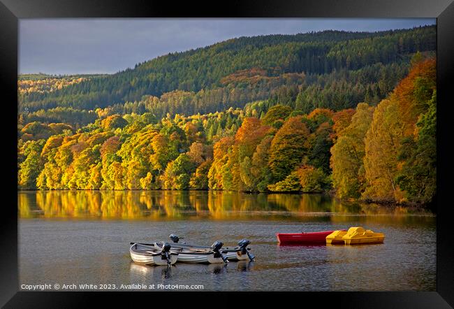 Autumn foliage in Perthshire, Scotland, UK Framed Print by Arch White
