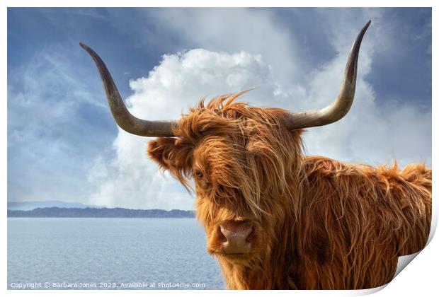 Highland Cow, Applecross NC500 Scotland. Print by Barbara Jones