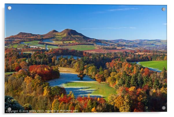 Scott's View and the Eildon Hills, Scottish Border Acrylic by Arch White