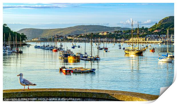 Conwy Harbour Wales Print by Mike Shields