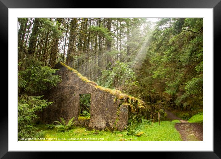 Brecklet trail Ballachulish Framed Mounted Print by david siggens