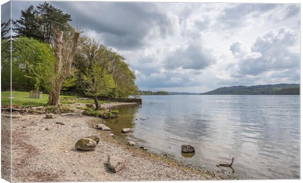 Shores of Lake Windermere at Jenkins Field Canvas Print by Jason Wells