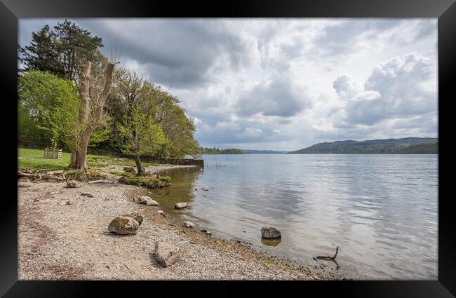 Shores of Lake Windermere at Jenkins Field Framed Print by Jason Wells