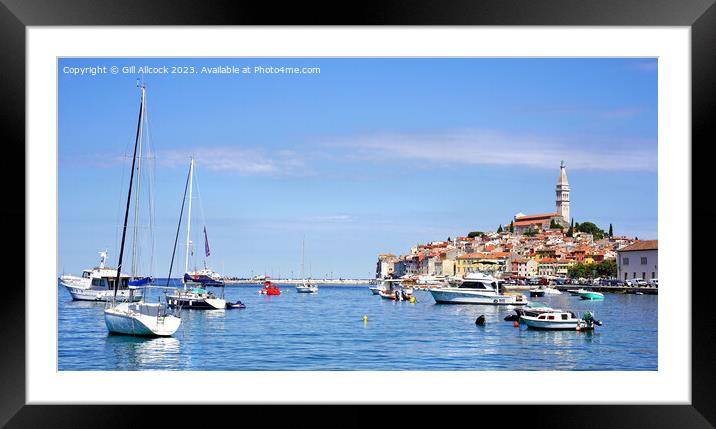 Rovinj Harbour, Croatia Framed Mounted Print by Gill Allcock