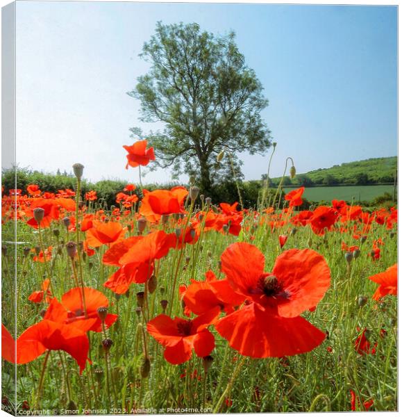  Tree and Poppies Canvas Print by Simon Johnson