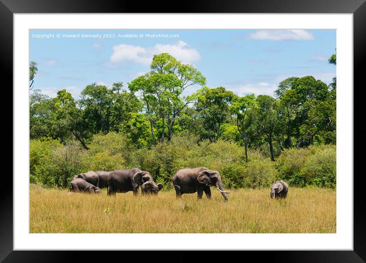 Elephant family browsing Framed Mounted Print by Howard Kennedy