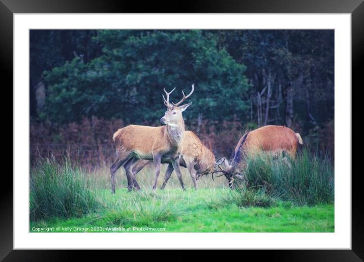 I'll keep a look out whilst you have a rutt! Framed Mounted Print by kelly Draper