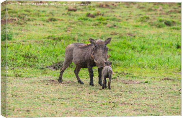 Warthog Mother with Hoglet Canvas Print by Howard Kennedy