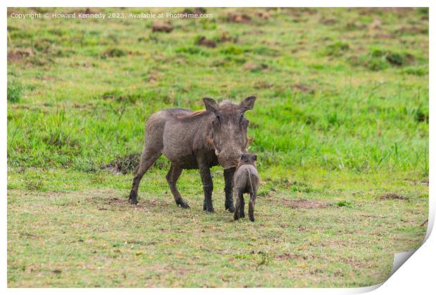 Warthog Mother with Hoglet Print by Howard Kennedy