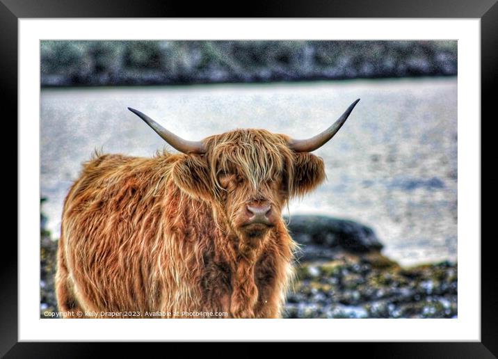 Highland Cow Framed Mounted Print by kelly Draper