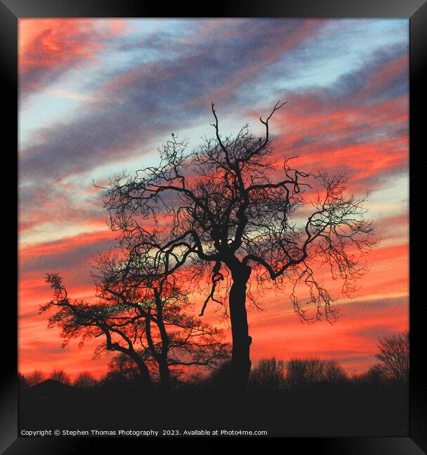 Autumn Sky behind a tree Framed Print by Stephen Thomas Photography 