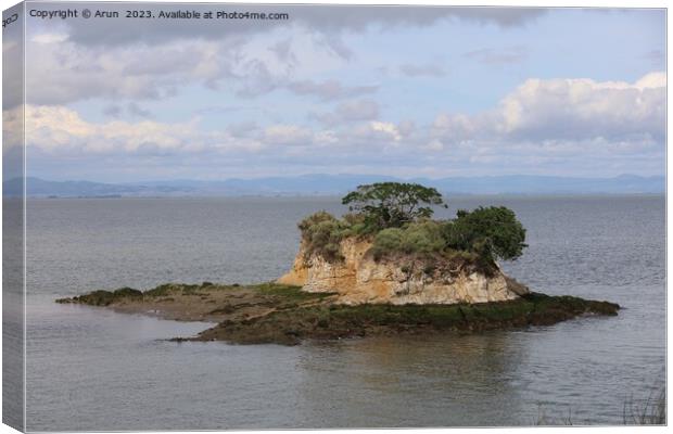 China camp state park, California Canvas Print by Arun 