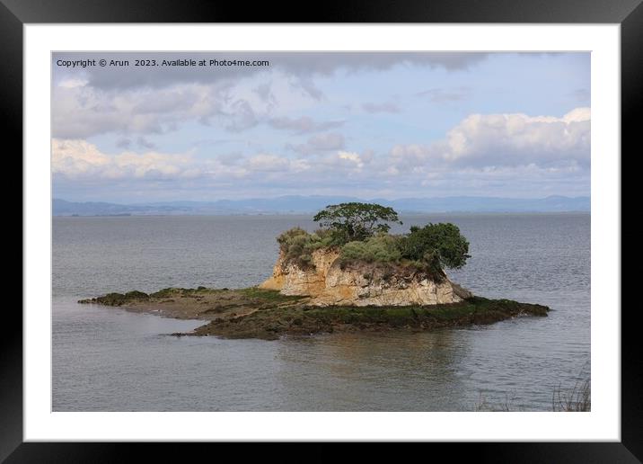 China camp state park, California Framed Mounted Print by Arun 