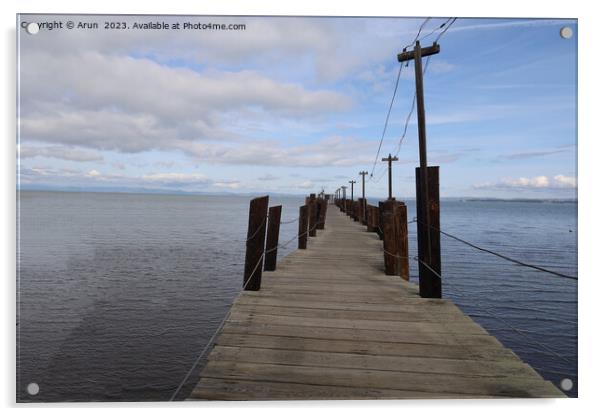 China camp state park, California Acrylic by Arun 