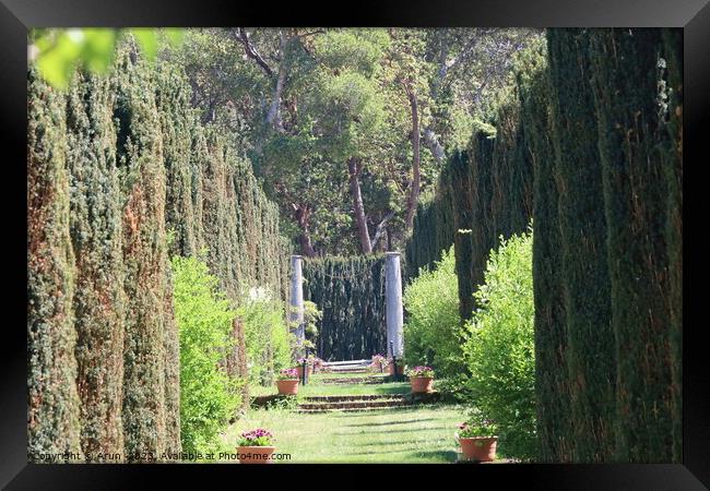  Gardens and buildings at  Filoli California Framed Print by Arun 