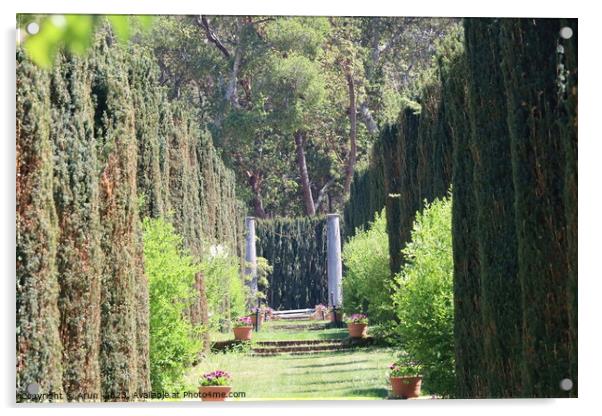  Gardens and buildings at  Filoli California Acrylic by Arun 
