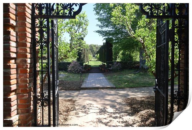  Gardens and buildings at  Filoli California Print by Arun 