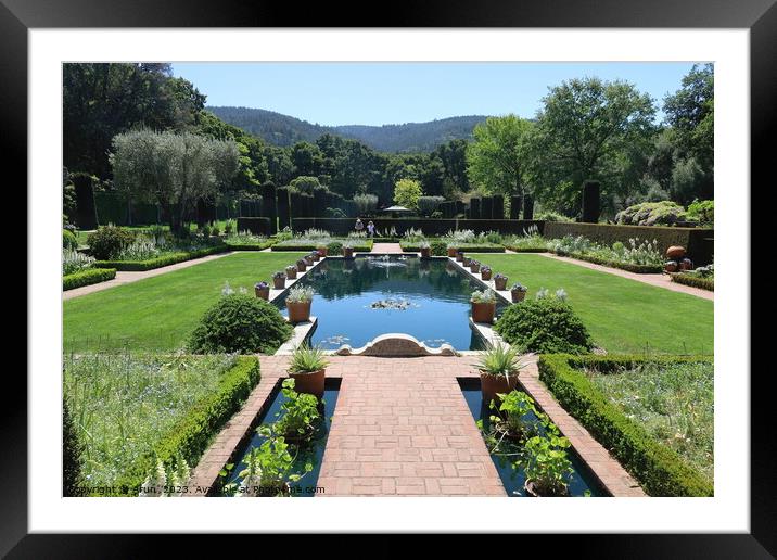  Gardens and buildings at  Filoli California Framed Mounted Print by Arun 