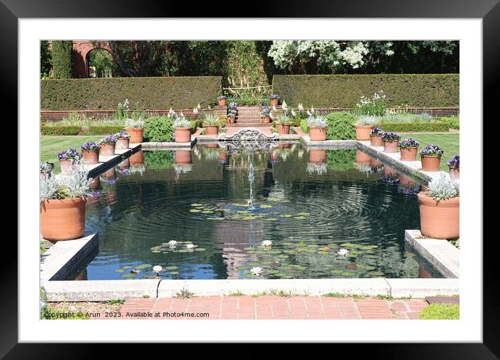  Gardens and buildings at  Filoli, California Framed Mounted Print by Arun 