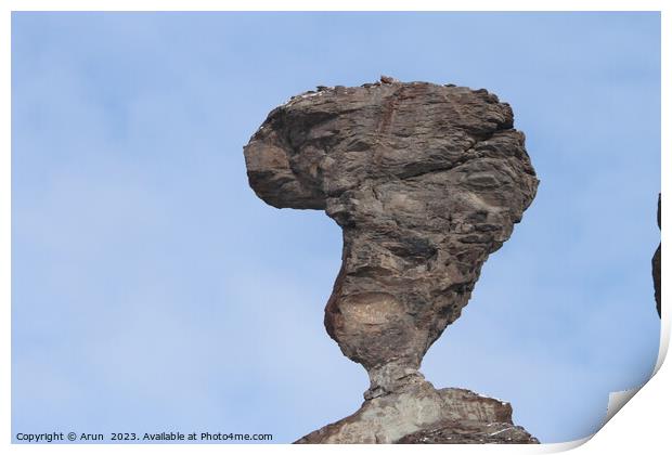 Balancing rock, Idaho Print by Arun 
