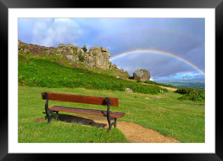 Cow Calf Ilkley Moor Framed Mounted Print by Alison Chambers