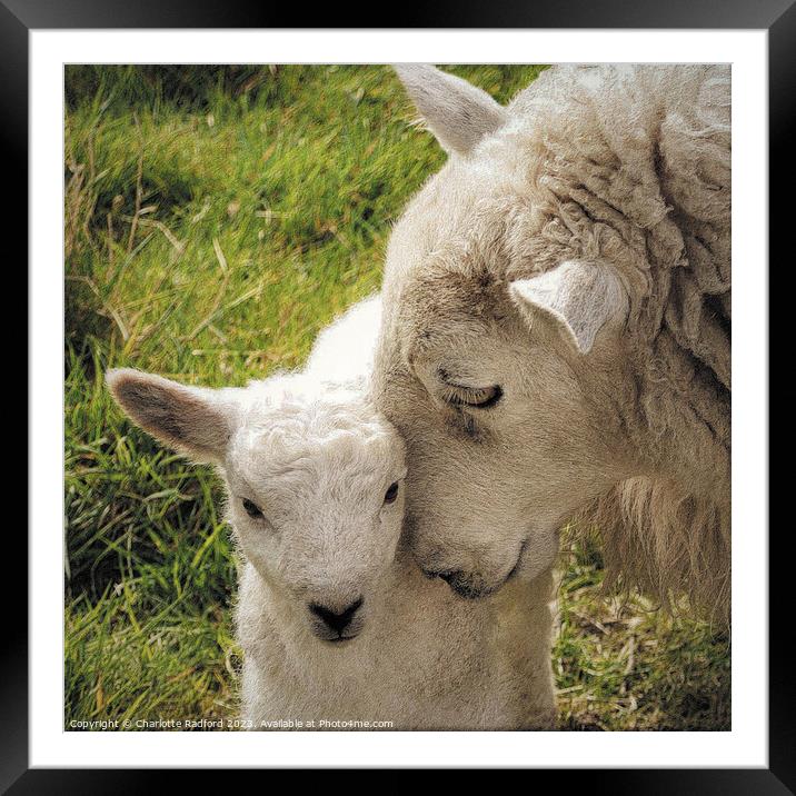 A Mother's Love Framed Mounted Print by Charlotte Radford
