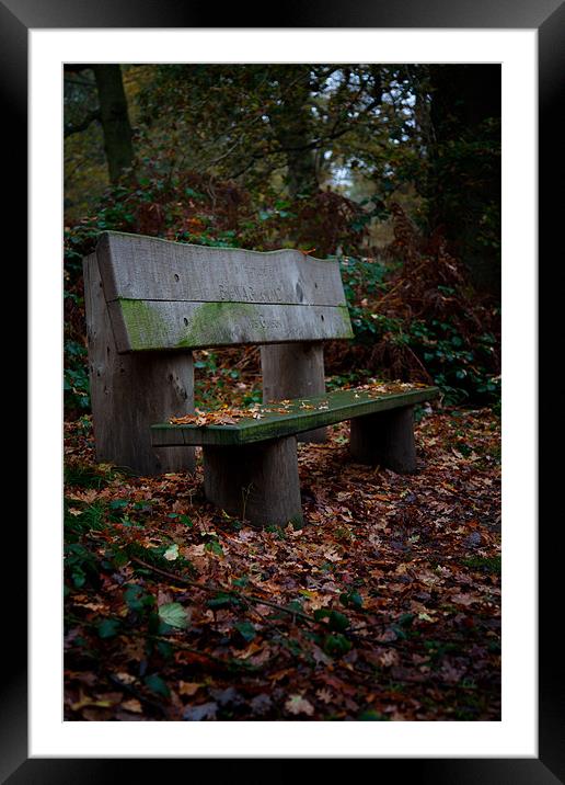Autumn Bench Framed Mounted Print by Mark Harrop