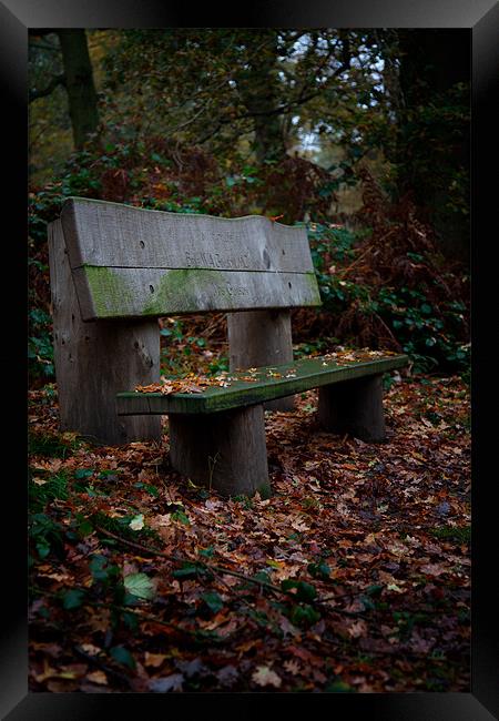 Autumn Bench Framed Print by Mark Harrop
