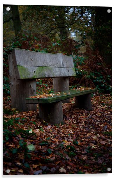 Autumn Bench Acrylic by Mark Harrop