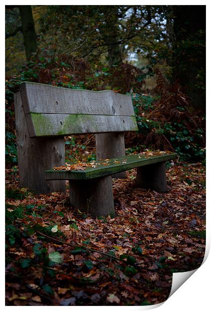 Autumn Bench Print by Mark Harrop