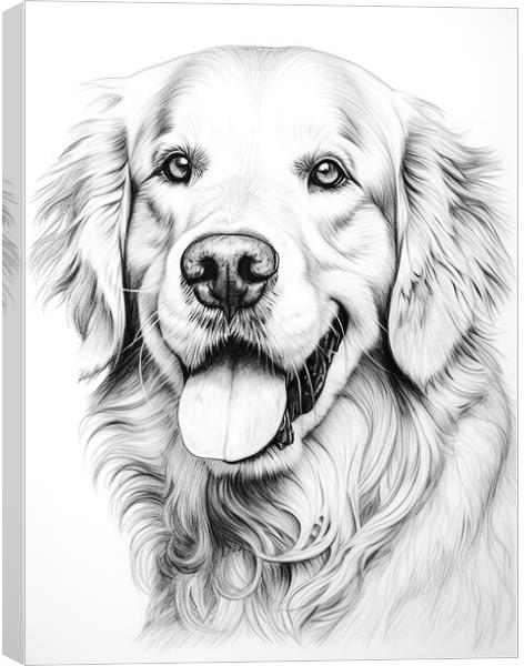 Pencil Drawing Golden Retriever Canvas Print by Steve Smith