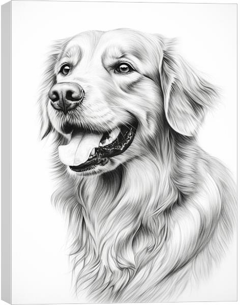 Pencil Drawing Golden Retriever Canvas Print by Steve Smith