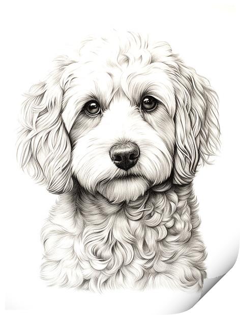 Pencil Drawing Cockapoo Print by Steve Smith