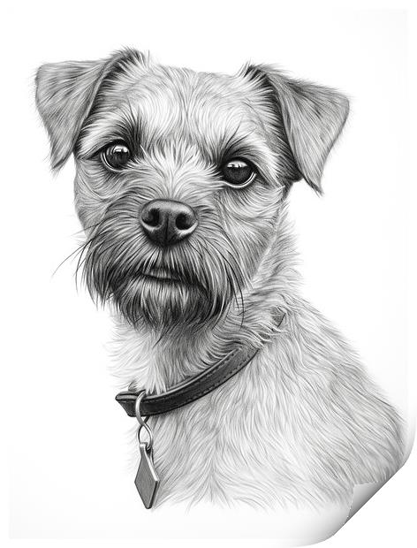 Pencil Drawing Border Terrier Print by Steve Smith