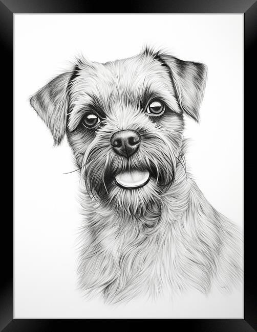 Pencil Drawing Border Terrier Framed Print by Steve Smith