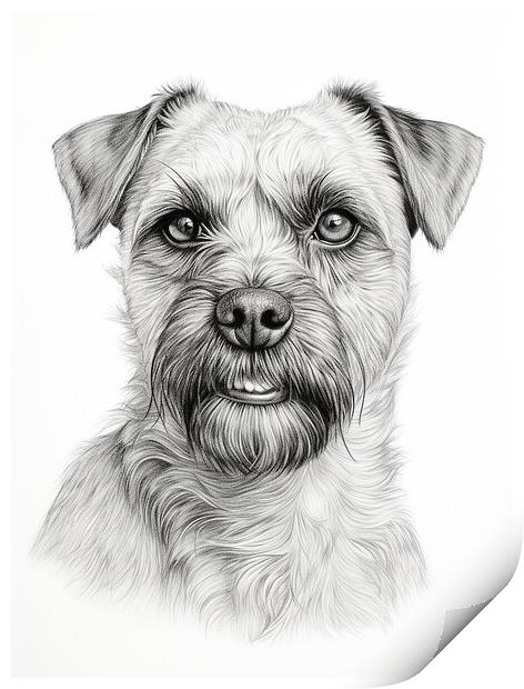 Pencil Drawing Border Terrier Print by Steve Smith