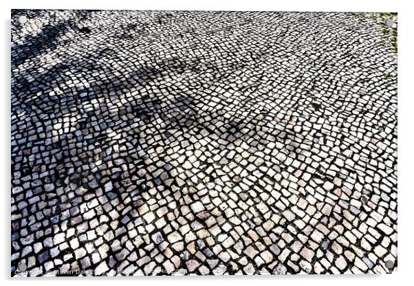 Calçada Portuguesa Traditional Mosaic Pavement Acrylic by Steven Dale