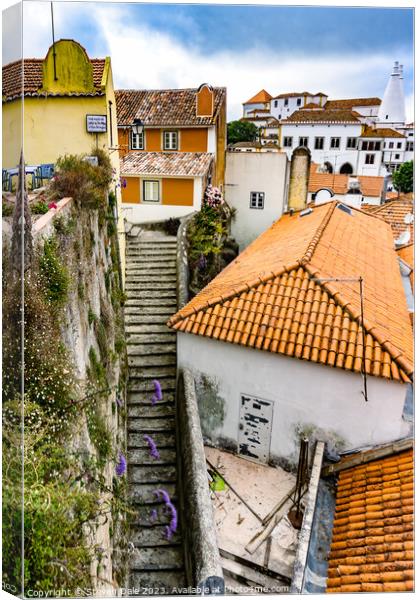 Steep Sintra Steps in old Sintra Portugal Canvas Print by Steven Dale